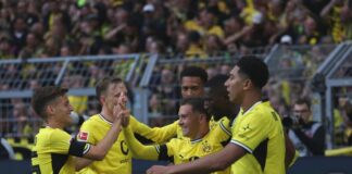 Neue BVB-Griechen glänzen: Dortmund siegt gegen HSV Der BVB hatte früh Grund zur Freude.
