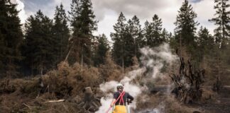 Feuer im Hohen Venn – erster Verdacht zur Brandursache Gelöscht ist der verheerende Brand im Hohen Venn noch nicht. (Archivbild)