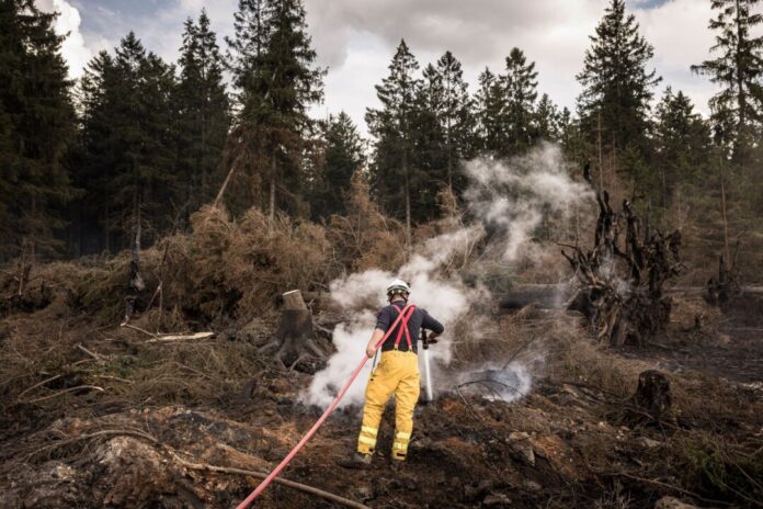 Waldbrand im Hohen Venn Gelöscht ist der verheerende Brand im Hohen Venn noch nicht. (Archivbild)