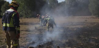 Einsatz von NRW-Feuerwehrleuten in Spanien vorzeitig beendet Die spanischen Behörden hatten die deutschen Waldbrand-Spezialisten zur Unterstützung angefordert.