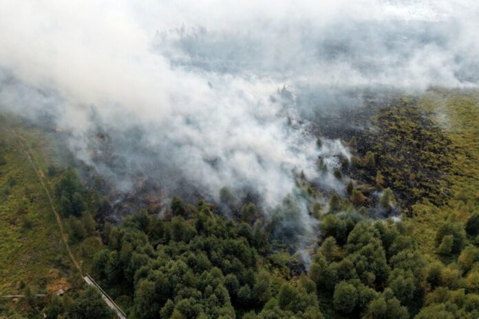 Waldbrand im Hohen Venn Rauchschwaden ziehen über den großen Waldbrand im Hohen Venn hinweg.