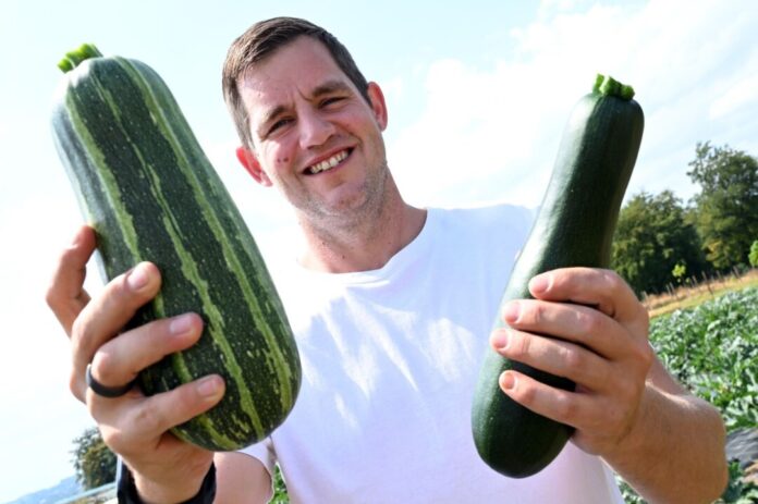 Hobbygärtner erntet Zucchini für Spenden an Tafeln Marc-Daniel Berger spendet seine Ernte für gute Zwecke.