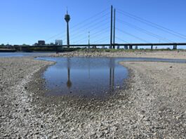Jahrhundertsommer in NRW mit Rekordhitze und wenig Regen Mit 154 Litern pro Quadratmeter seien lediglich 64 Prozent des üblichen Sommerniederschlags gefallen. Die Folge: Historische Niedrigwasserstände am Rhein und eine Reihe kleiner und großer Waldbrände im Land. (Archivbild)