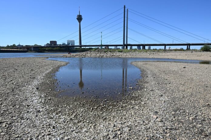 Niedrigwasser im Rhein Mit 154 Litern pro Quadratmeter seien lediglich 64 Prozent des üblichen Sommerniederschlags gefallen. Die Folge: Historische Niedrigwasserstände am Rhein und eine Reihe kleiner und großer Waldbrände im Land. (Archivbild)