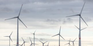 Windstrom direkt ins Werk – Land sieht Vorteile für Firmen Eine Direktbelieferung mit Grünstrom kann Firmen laut Landes-Klimaschutzgesellshaft helfen, die Energiekosten zu senken. (Symbolbild)