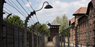 Kuper in Auschwitz: Sorge um Jugend und Opfer-Dokumente Höchste Repräsentanten des Landes Nordrhein-Westfalen besuchen seit Jahrzehnten immer wieder das ehemalige Konzentrations- und Vernichtungslager Auschwitz. (Archivbild)