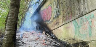 NRW-Waldbrände: Auch Velberter Feuerwehr im Stadtgebiet im Einsatz Nahe des A44-Tunnels kam es in Birth zu einem Brand. Foto: Feuerwehr Velbert