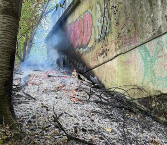 NRW-Waldbrände: Auch Velberter Feuerwehr im Stadtgebiet im Einsatz Nahe des A44-Tunnels kam es in Birth zu einem Brand. Foto: Feuerwehr Velbert