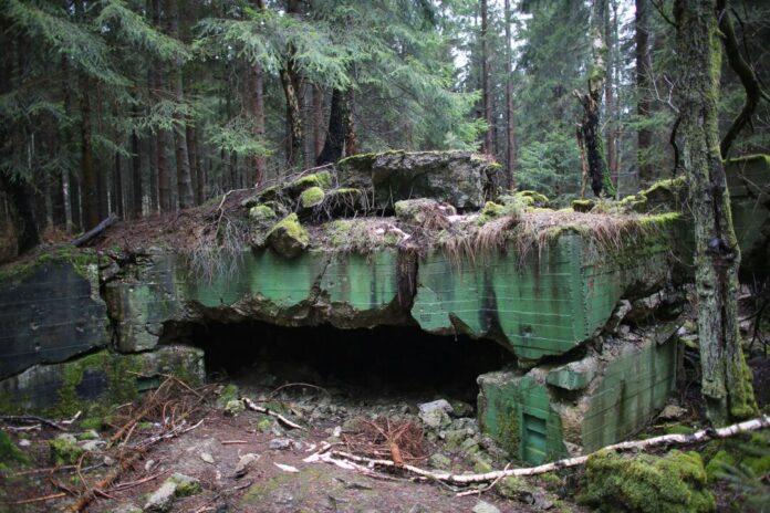 Kriegsreste im Hürtgenwald Im Hürtgenwald kann man noch an vielen Stellen Hinterlassenschaften des Krieges sehen. (Archivbild)