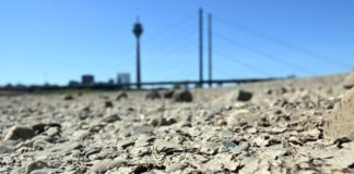 NABU fordert «ökologische Sanierung» des Rheins Risse haben sich bei niedrigem Wasserstand auf dem Rhein am trocken gefallenen Ufer gebildet.