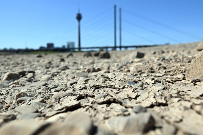 Niedrigwasser im Rhein Risse haben sich bei niedrigem Wasserstand auf dem Rhein am trocken gefallenen Ufer gebildet.