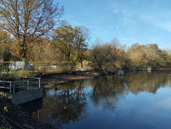 BRW_HRB_Abtskücher_Teich_2026_08