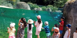 Kindergruppe aus Velbert besucht Grünen Zoo in Wuppertal Für die Kinder gab es im Wuppertaler Zoo viele Tiere zu entdecken. Foto: privat