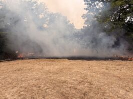 Waldbrand in Heiligenhaus: Vollalarm für die Feuerwehr Die Einsatzstelle am Schloßweg in Heiligenhaus. Foto: Feuerwehr Heiligenhaus