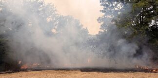 Waldbrand in Heiligenhaus: Vollalarm für die Feuerwehr Die Einsatzstelle am Schloßweg in Heiligenhaus. Foto: Feuerwehr Heiligenhaus