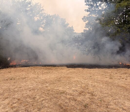 Waldbrand in Heiligenhaus: Vollalarm für die Feuerwehr Die Einsatzstelle am Schloßweg in Heiligenhaus. Foto: Feuerwehr Heiligenhaus