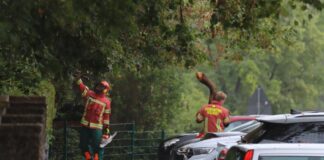 Neviges: Feuerwehr beseitigt umgestürzten Baum Die Velberter Feuerwehr im Einsatz in Neviges. Foto: Volkmann