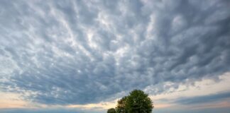 Regen und Böen in Nordrhein-Westfalen Wolken bedecken den Himmel. (Symbolbild)