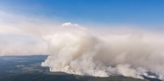 Belgische Behörden fordern Einsatzkräfte aus Deutschland an Waldbrand im belgischen Moorgebiet.