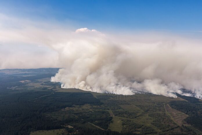 Waldbrand in Belgien Waldbrand im belgischen Moorgebiet.