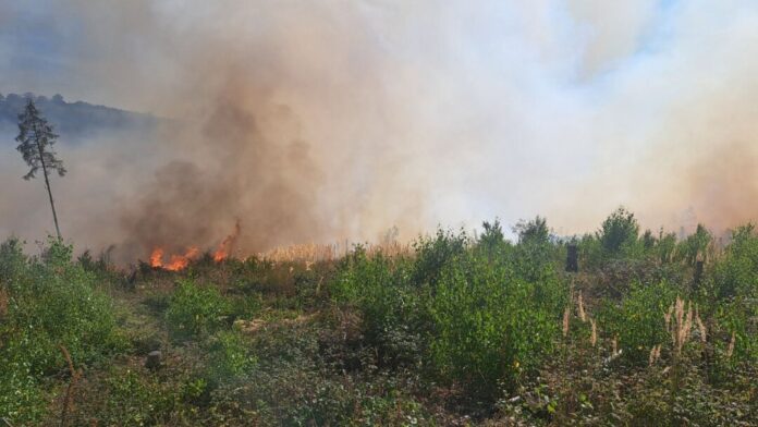 Waldbrand im Sauerland Beim Eintreffen der Feuerwehr habe ein großes Gebiet bereits in Flammen gestanden, berichtete ein Sprecher der Feuerwehr.