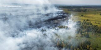 Feuer im Hohen Venn mit Brandgeruch bis Köln Rauchschwaden ziehen über den Waldbrand im Hohen Venn.