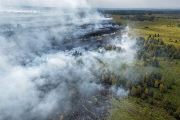 Waldbrand im Hohen Venn Rauchschwaden ziehen über den Waldbrand im Hohen Venn.