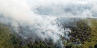 Waldbränden vorbeugen: Umweltverbände fordern Vernässung Rauchschwaden ziehen über den großen Waldbrand im Hohen Venn hinweg.