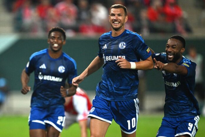 Hallescher FC - FC Schalke 04 Schalker Torschützen: Junior Adamu (l), Edin Dzeko (M) und Moussa Sylla.