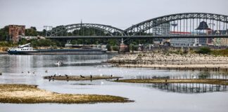 Rheinpegel erreicht bei Köln historischen Tiefstand In Köln hat der Pegelstand einen historischen Tiefstwert erreicht.