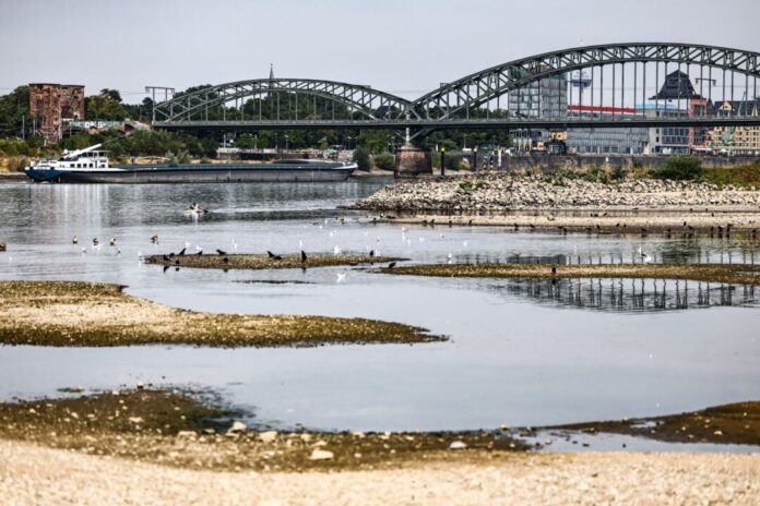Niedrigwasser am Rhein in Köln In Köln hat der Pegelstand einen historischen Tiefstwert erreicht.