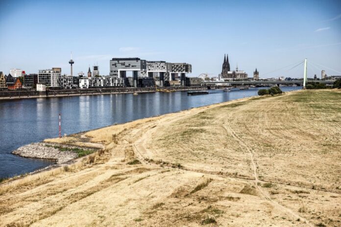 Niedrigwasser am Rhein in Köln Der Tatverdächtige wurde am Rheinufer in Köln-Porz festgenommen. (Symbolbild)