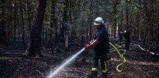 Satelliten sollen Waldbrände in NRW schneller aufspüren Feuerwehrmänner sind im Hürtgenwald im Einsatz. (Archivbild)