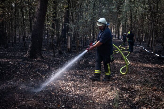 Waldbrand im Hürtgenwald Feuerwehrmänner sind im Hürtgenwald im Einsatz. (Archivbild)