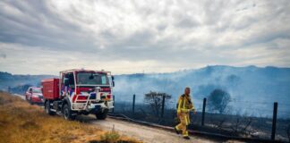 Niederlande: Brand in Dünen unter Kontrolle Das Feuer war am Nachmittag ausgebrochen.