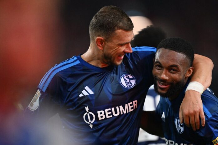 Hallescher FC - FC Schalke 04 Edin Dzeko (l) traf doppelt und legte Sturmpartner Moussa Sylla einen Treffer auf.