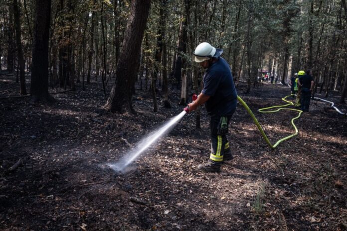 Waldbrand im Hürtgenwald Die Lage im Hürtgenwald hat sich nach Angaben des Kreises Düren weiter entspannt. (Archivbild)