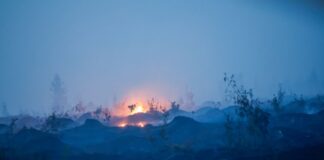 Brand im Hohen Venn: Evakuierung bei Monschau angeordnet Blick auf verbrannte Vegetation und verbrannten Waldboden.