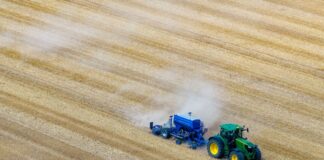 Landwirte melden Ernteverluste: «Pflanzen unterversorgt» Aufgrund der Dürre in diesem Jahr rechnen die Landwirte in Nordrhein-Westfalen mit Einbußen. (Archivbild)