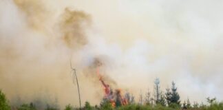 Angst vor der Feuerfront in der Eifel Flammen in der Hochmoor- und Sumpflandschaft Hohe Venn - es liegt unweit der deutschen Grenze.