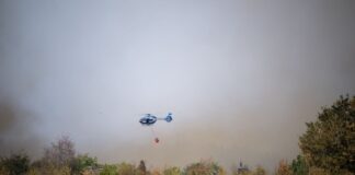 Hürtgenwald: Wetterdienst rechnet nicht mit Regen Im Laufe des Tages soll der Wind zunehmen.