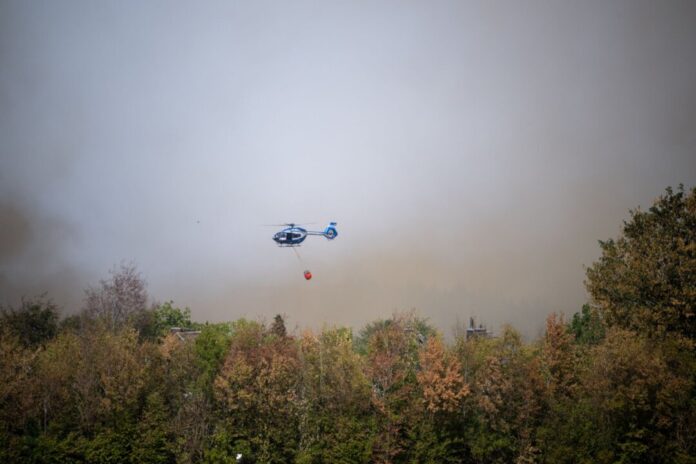 Waldbrand im Hürtgenwald Im Laufe des Tages soll der Wind zunehmen.