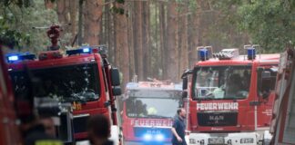 Große Waldbrände in Deutschland – Ein Überblick Feuerwehrleute kämpfen gegen die Flammen in Treuenbrietzen. (Archivbild)
