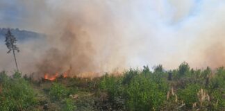 Acht Hektar Wald im Sauerland verbrannt – Feuer am Möhnesee Beim Eintreffen der Feuerwehr habe ein großes Gebiet bereits in Flammen gestanden, berichtete ein Sprecher der Feuerwehr.