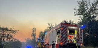 Deutsche Feuerwehrleute bekämpfen Waldbrand in Serbien Einsatzkräfte der Feuerwehr Bonn haben direkt nach ihrer Ankunft in Serbien mit dem Löschen begonnen.