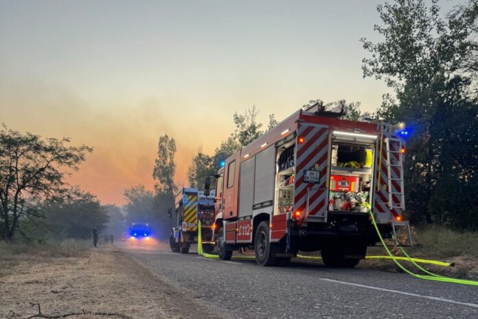 Deutsche Feuerwehr hilft bei Waldbrand in Serbien Einsatzkräfte der Feuerwehr Bonn haben direkt nach ihrer Ankunft in Serbien mit dem Löschen begonnen.