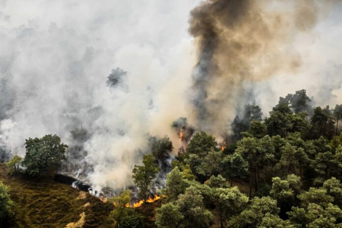 Brand im niederländischen Naturschutzgebiet De Rosmolen Bis auf deutsches Grenzgebiet sorgt der Brandgeruch für Unruhe.