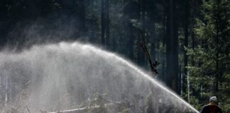 Gouverneur: Brand im Hohen Venn zunehmend unter Kontrolle Seit Freitag kämpfen Einsatzkräfte gegen ein Feuer im Hohes Venn.