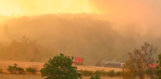 Löscharbeiten im Hürtgenwald gehen in der Nacht weiter Auch in der Nacht kämpfen Feuerwehrleute gegen die Flammen.