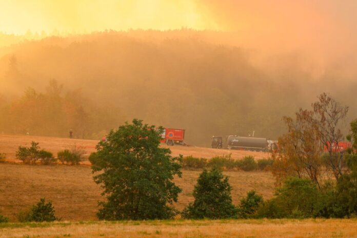 Waldbrand im Hürtgenwald Auch in der Nacht kämpfen Feuerwehrleute gegen die Flammen.